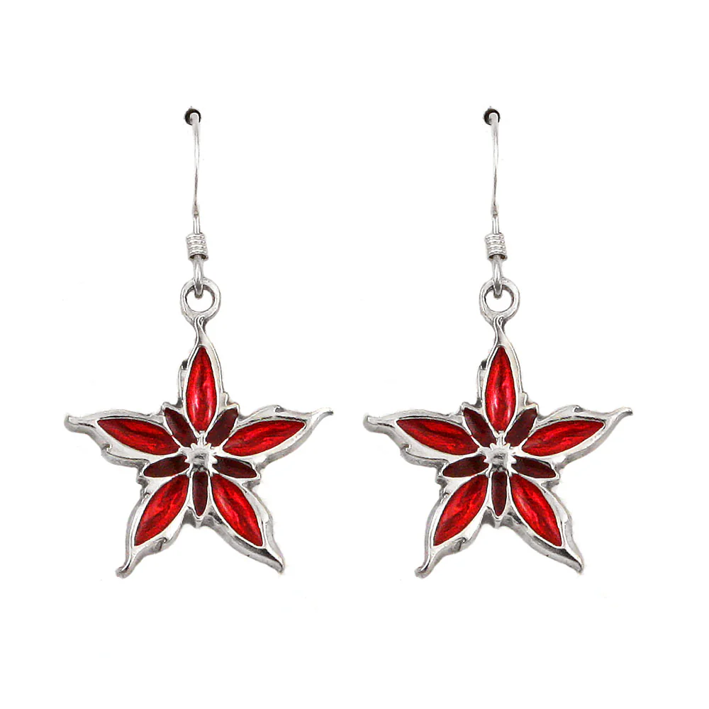 Enameled Nalthis Earrings - Image 7