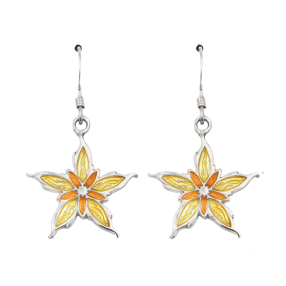 Enameled Nalthis Earrings - Image 8