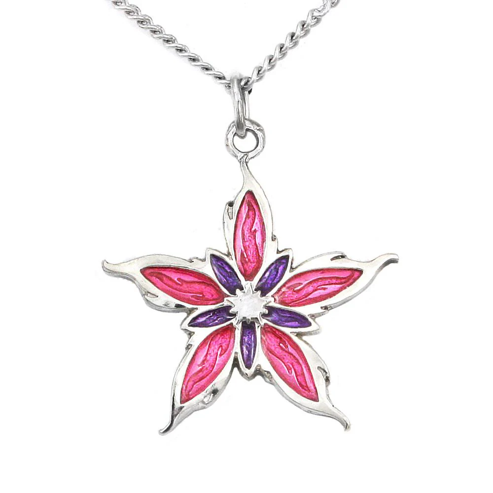 Enameled Nalthis Pendant - Sterling Silver - Image 5