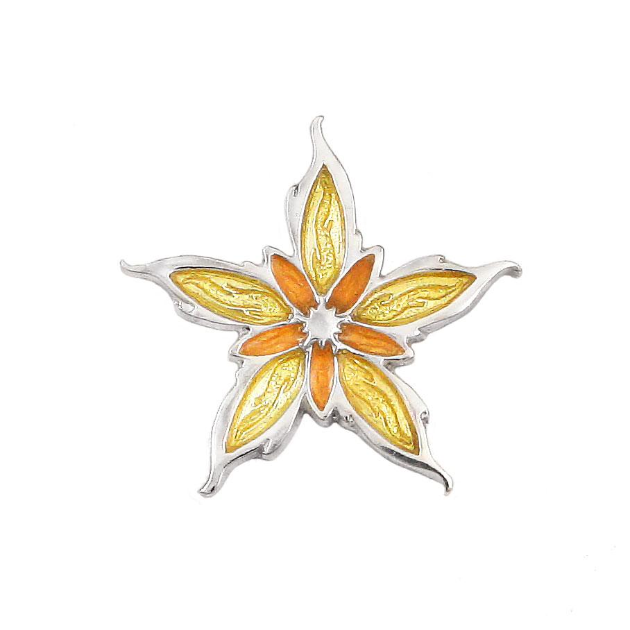 Enameled Nalthis Pin - Image 7