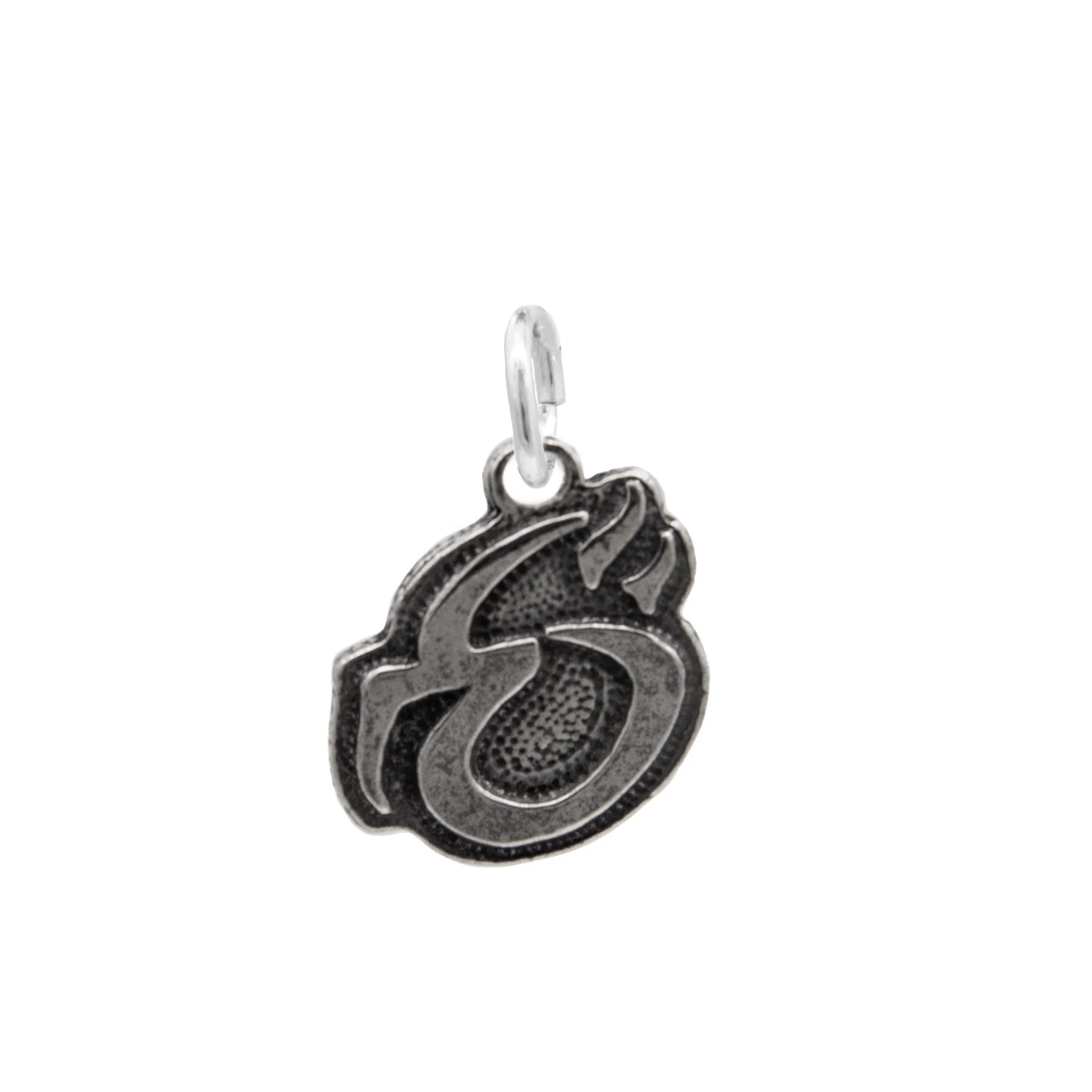 Mind Ward Charm